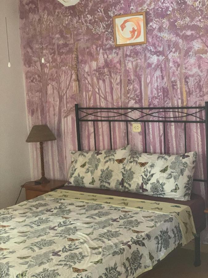 Apartamentos "Mariposa" ベニドルム エクステリア 写真
